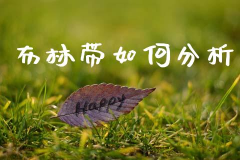 布林带如何分析_https://m.lcjysmgs.com_金融服务_第1张
