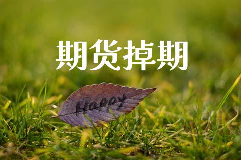 期货掉期_https://m.lcjysmgs.com_基金管理_第1张