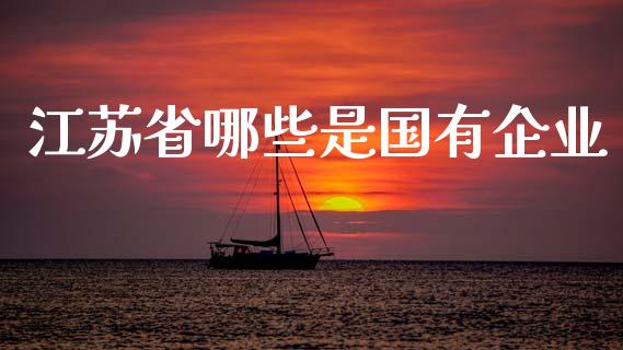 江苏省哪些是国有企业_https://m.lcjysmgs.com_基金管理_第1张