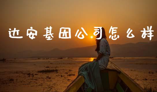 达安基因公司怎么样_https://m.lcjysmgs.com_金融服务_第1张
