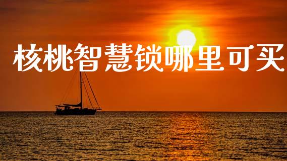 核桃智慧锁哪里可买_https://m.lcjysmgs.com_基金管理_第1张