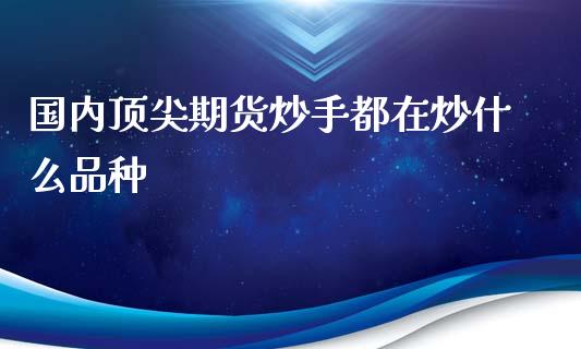 国内顶尖期货炒手都在炒什么品种_https://m.lcjysmgs.com_基金管理_第1张