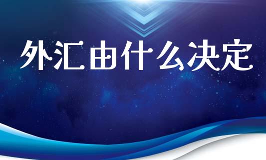 外汇由什么决定_https://m.lcjysmgs.com_股权投资_第1张
