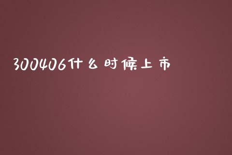 300406什么时候上市_https://m.lcjysmgs.com_金融服务_第1张