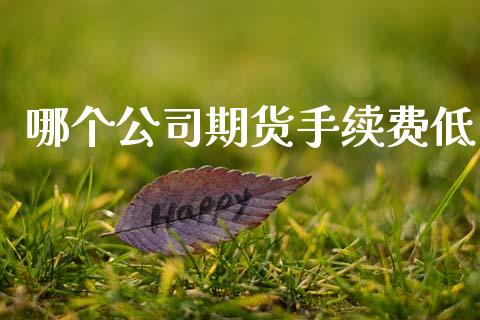 哪个公司期货手续费低_https://m.lcjysmgs.com_金融服务_第1张