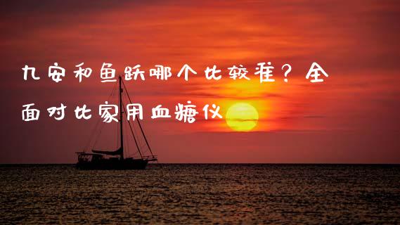 九安和鱼跃哪个比较准？全面对比家用血糖仪_https://m.lcjysmgs.com_股票交易_第1张