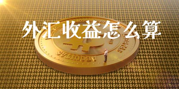 外汇收益怎么算_https://m.lcjysmgs.com_基金管理_第1张