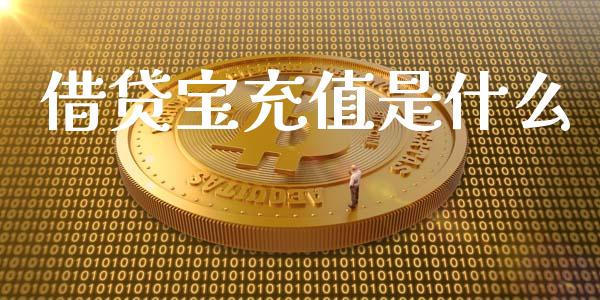 借贷宝充值是什么_https://m.lcjysmgs.com_金融服务_第1张
