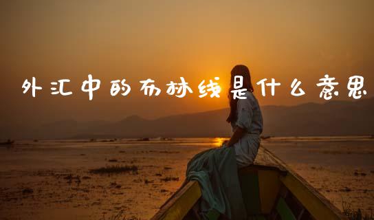 外汇中的布林线是什么意思_https://m.lcjysmgs.com_股权投资_第1张