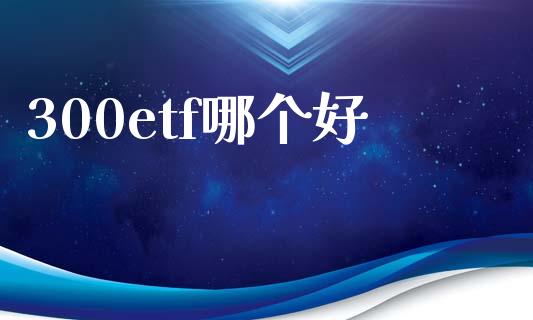 300etf哪个好_https://m.lcjysmgs.com_金融服务_第1张