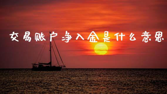 交易账户净入金是什么意思_https://m.lcjysmgs.com_基金管理_第1张