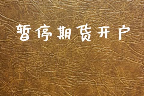 暂停期货开户_https://m.lcjysmgs.com_股权投资_第1张