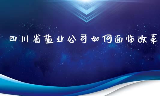 四川省盐业公司如何面临改革_https://m.lcjysmgs.com_金融服务_第1张