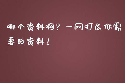 哪个资料啊？一网打尽你需要的资料！_https://m.lcjysmgs.com_股票交易_第1张