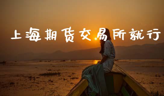 上海期货交易所就行_https://m.lcjysmgs.com_金融服务_第1张