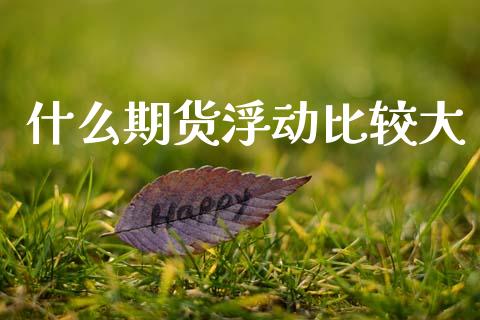 什么期货浮动比较大_https://m.lcjysmgs.com_基金管理_第1张