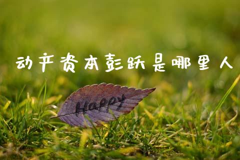 动产资本彭跃是哪里人_https://m.lcjysmgs.com_股票交易_第1张