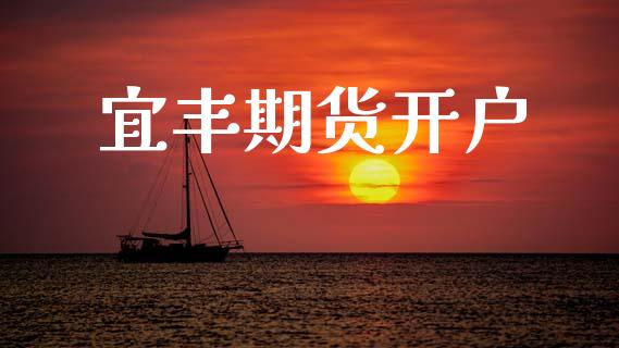 宜丰期货开户_https://m.lcjysmgs.com_股权投资_第1张