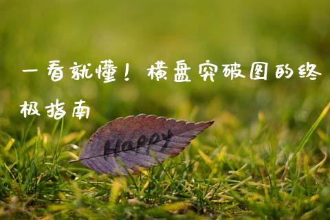 一看就懂！横盘突破图的终极指南_https://m.lcjysmgs.com_基金管理_第1张