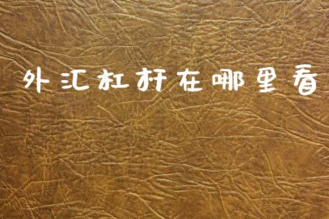 外汇杠杆在哪里看_https://m.lcjysmgs.com_股权投资_第1张