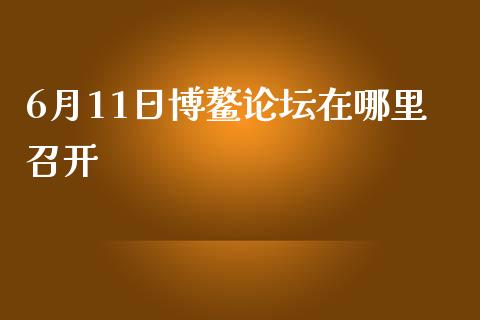 6月11日博鳌论坛在哪里召开_https://m.lcjysmgs.com_金融服务_第1张