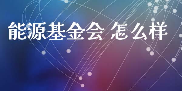 能源基金会 怎么样_https://m.lcjysmgs.com_股权投资_第1张