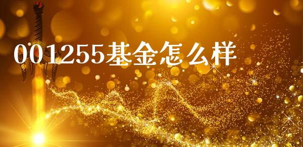 001255基金怎么样_https://m.lcjysmgs.com_股权投资_第1张