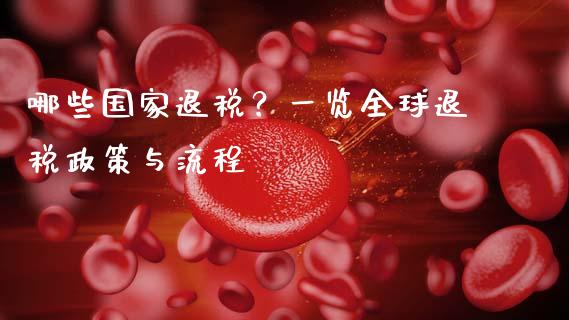 哪些国家退税？一览全球退税政策与流程_https://m.lcjysmgs.com_金融服务_第1张