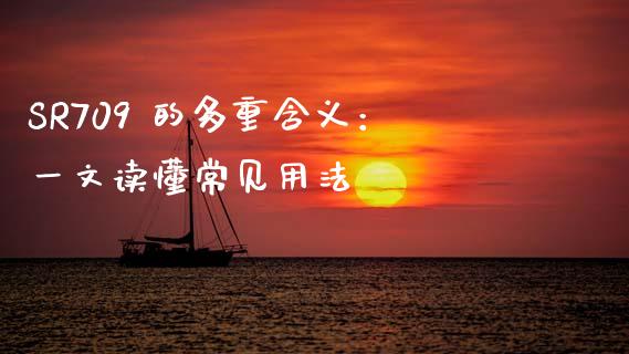 SR709 的多重含义：一文读懂常见用法_https://m.lcjysmgs.com_基金管理_第1张