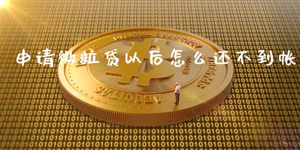 申请微粒贷以后怎么还不到帐_https://m.lcjysmgs.com_金融服务_第1张