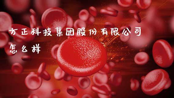 方正科技集团股份有限公司怎么样_https://m.lcjysmgs.com_股权投资_第1张