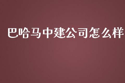 巴哈马中建公司怎么样_https://m.lcjysmgs.com_金融服务_第1张