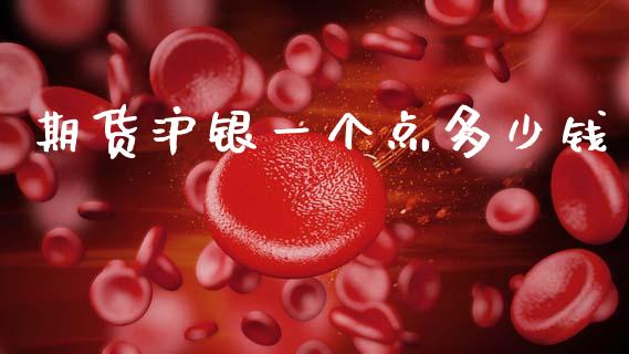 期货沪银一个点多少钱_https://m.lcjysmgs.com_股权投资_第1张