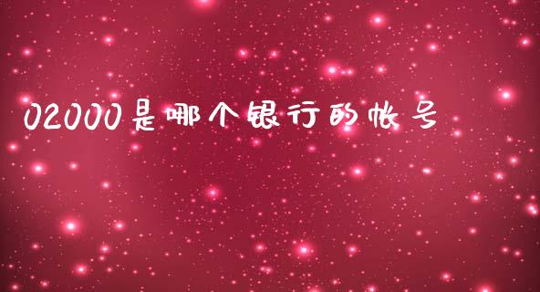 02000是哪个银行的帐号_https://m.lcjysmgs.com_股权投资_第1张