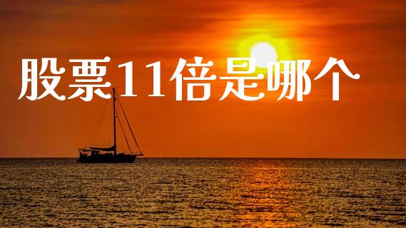 股票11倍是哪个_https://m.lcjysmgs.com_股票交易_第1张