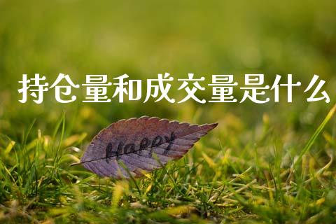 持仓量和成交量是什么_https://m.lcjysmgs.com_金融服务_第1张
