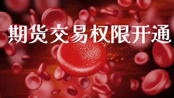 期货交易权限开通_https://m.lcjysmgs.com_股权投资_第1张