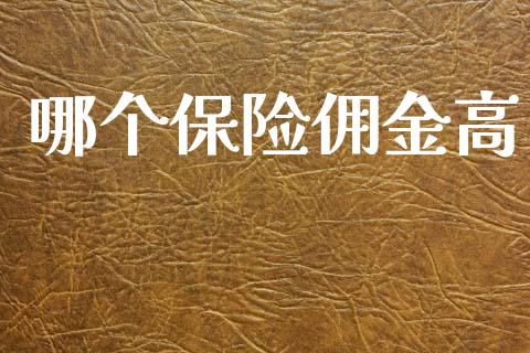 哪个保险佣金高_https://m.lcjysmgs.com_金融服务_第1张