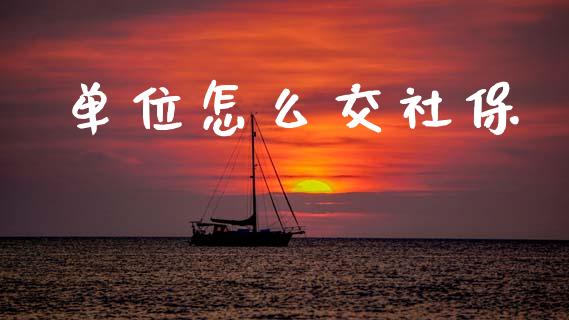 单位怎么交社保_https://m.lcjysmgs.com_金融服务_第1张
