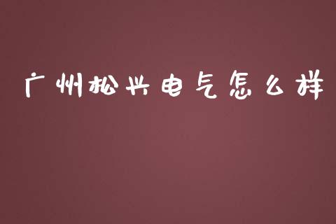 广州松兴电气怎么样_https://m.lcjysmgs.com_股票交易_第1张