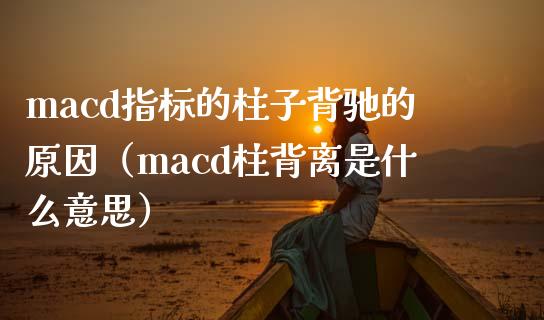 macd指标的柱子背驰的原因（macd柱背离是什么意思）_https://m.lcjysmgs.com_金融服务_第1张