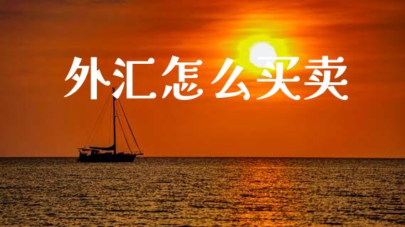 外汇怎么买卖_https://m.lcjysmgs.com_金融服务_第1张