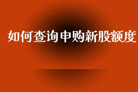 如何查询申购新股额度_https://m.lcjysmgs.com_金融服务_第1张