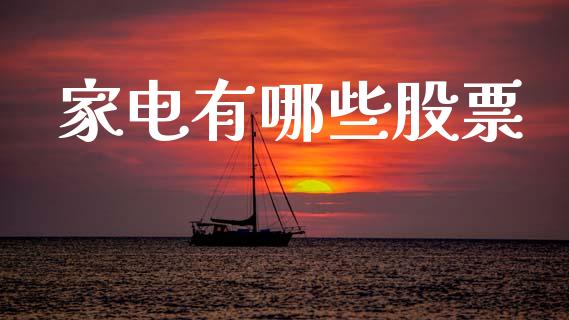 家电有哪些股票_https://m.lcjysmgs.com_基金管理_第1张