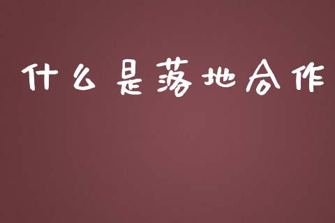 什么是落地合作_https://m.lcjysmgs.com_基金管理_第1张