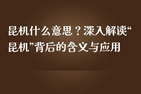 昆机什么意思？深入解读“昆机”背后的含义与应用_https://m.lcjysmgs.com_金融服务_第1张