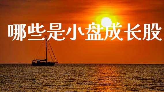 哪些是小盘成长股_https://m.lcjysmgs.com_金融服务_第1张