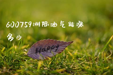600759洲际油气能涨多少_https://m.lcjysmgs.com_基金管理_第1张