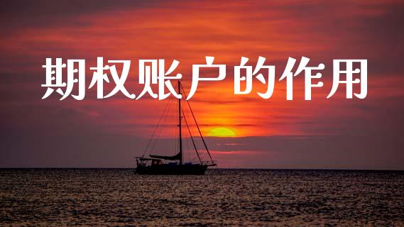 期权账户的作用_https://m.lcjysmgs.com_股权投资_第1张
