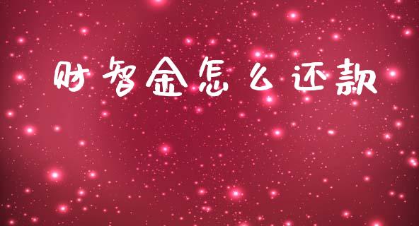 财智金怎么还款_https://m.lcjysmgs.com_基金管理_第1张